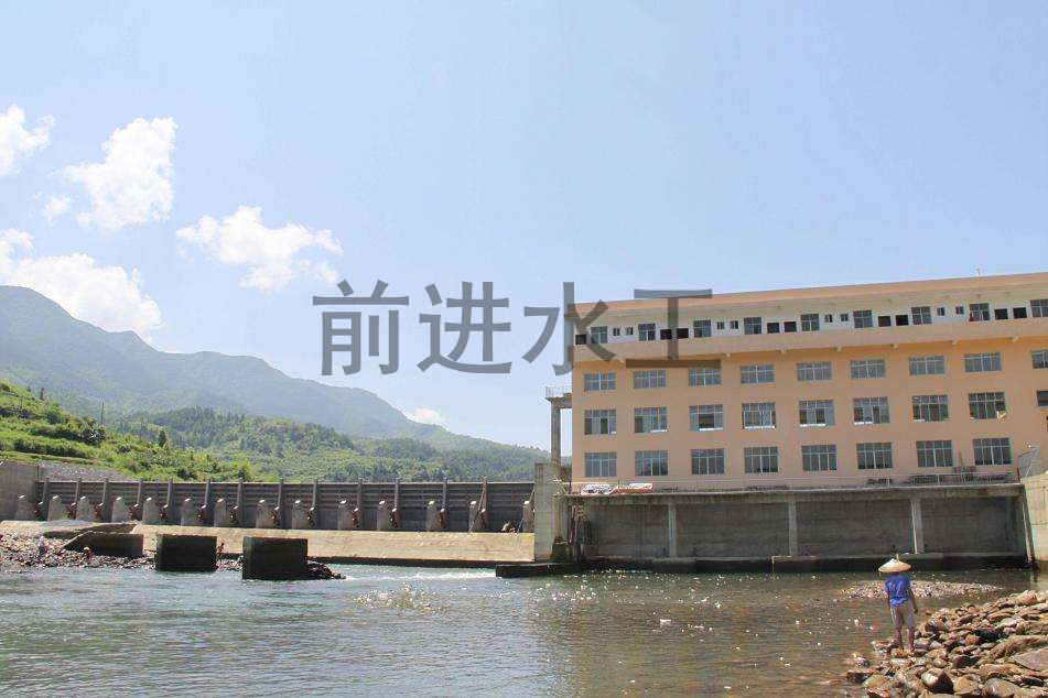 卧式水力翻板哔咔漫画APP下载免费设计厂家包安装